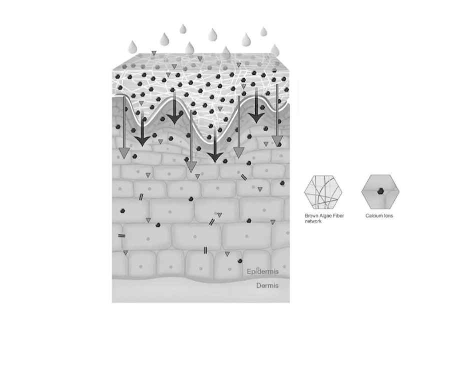 Activation & Release of Active Ingredients​