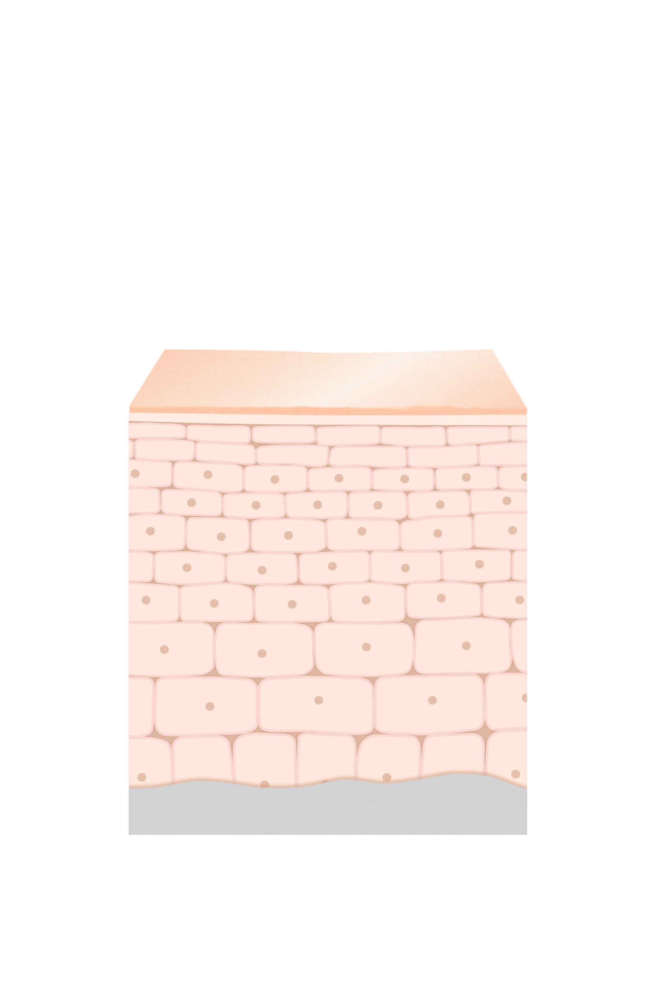 Regeneration