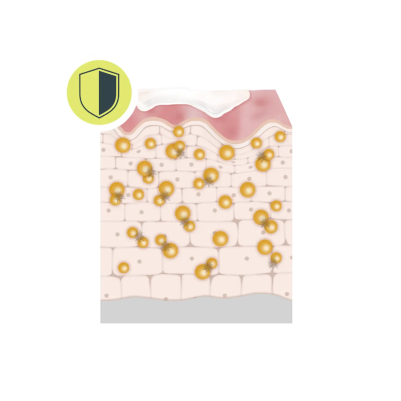 Protection of cells and collagen production